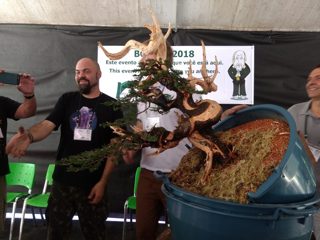 IMG_20180527_120033115