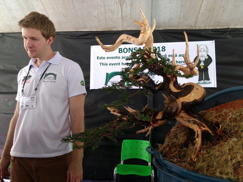 IMG_20180527_120313913_BURST000_COVER_TOP