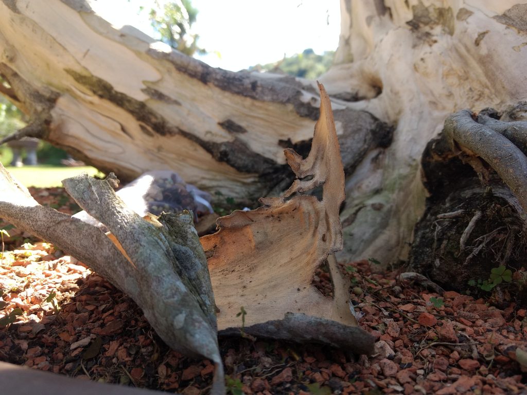 IMG_20180527_123434627