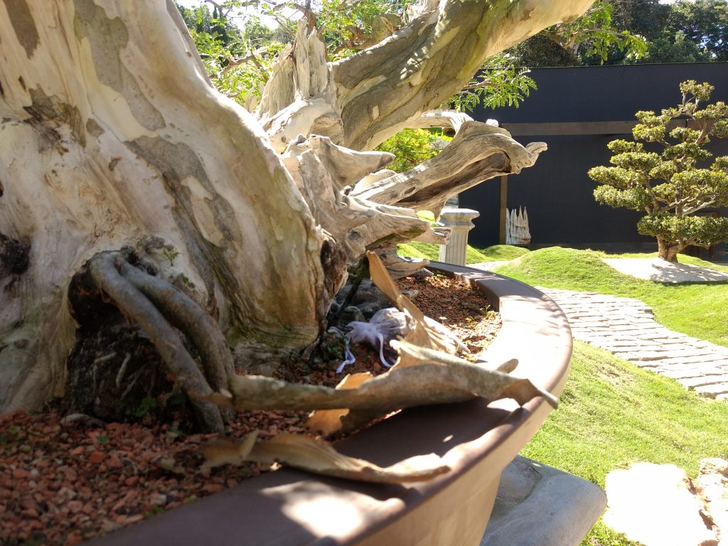 IMG_20180527_123458902