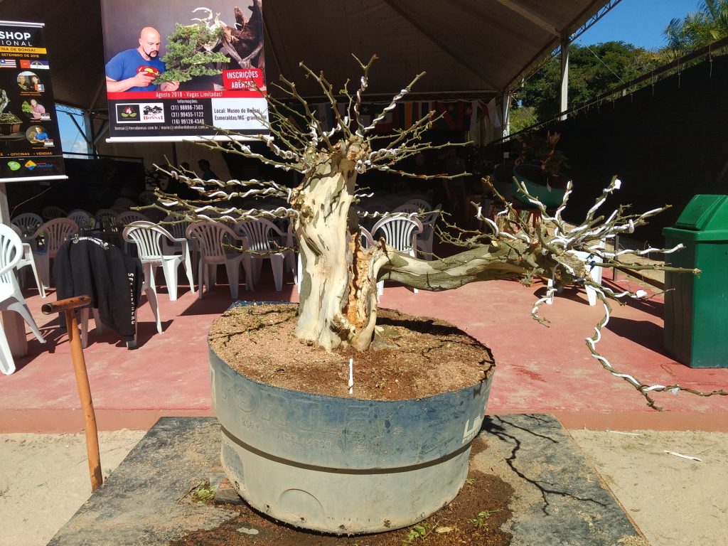 IMG_20180527_125027427